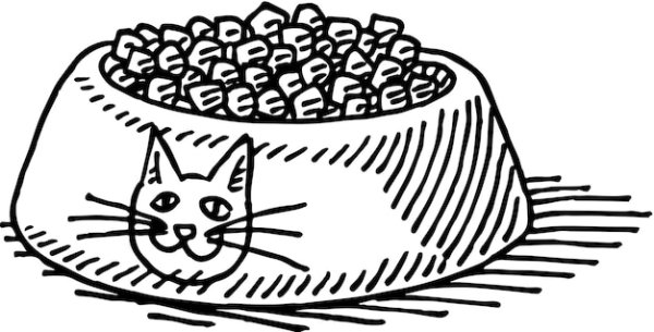 Раскраска кошка с едой