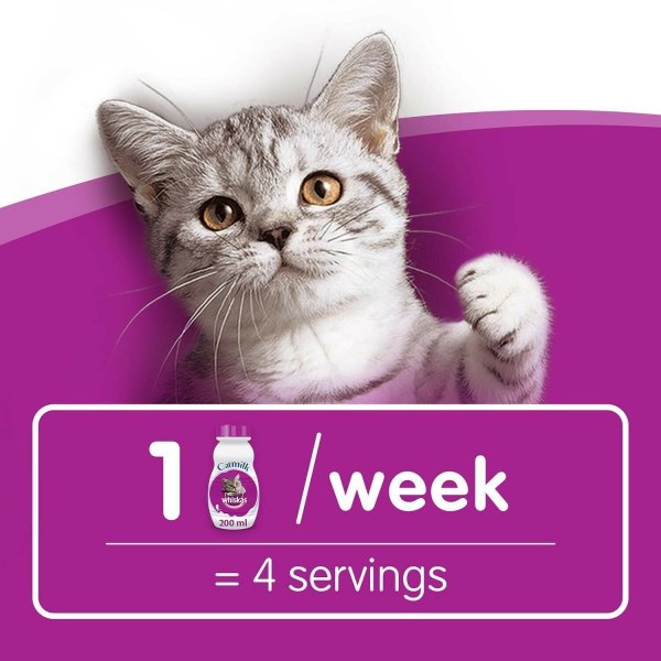 Whiskas реклама