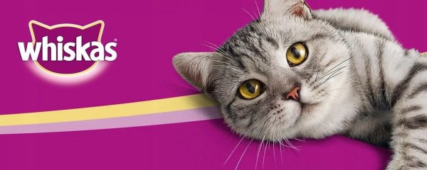 Корм кошачий реклама Whiskas