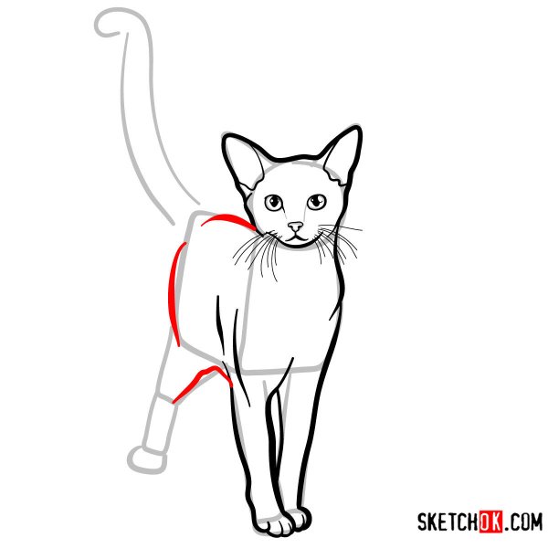 Рисунки Абиссинской кошки пошагово