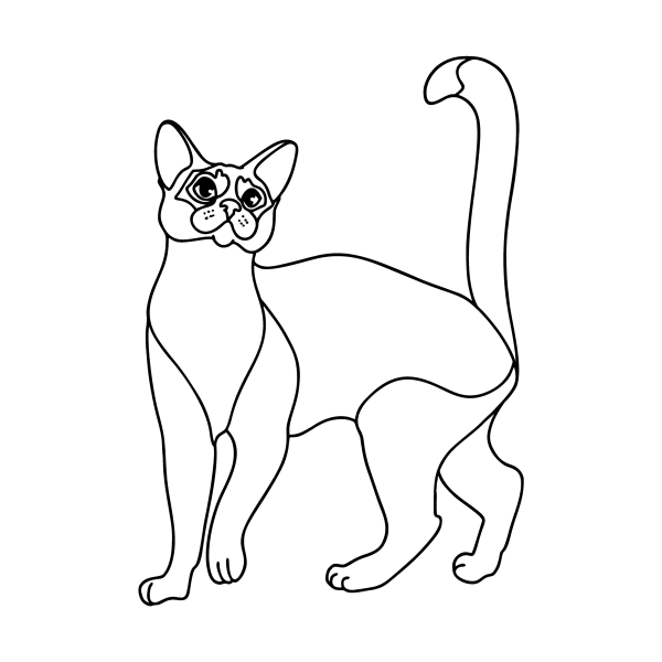 Сиамская кошка раскраска