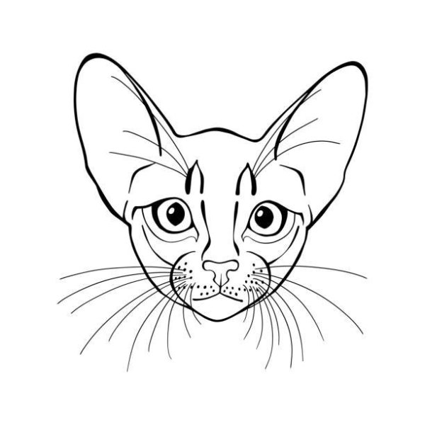 Абиссинская кошка вектор
