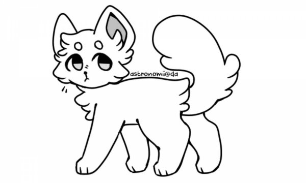 F2u Cat Base