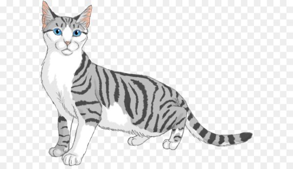 Бенгальский кот мультяшный