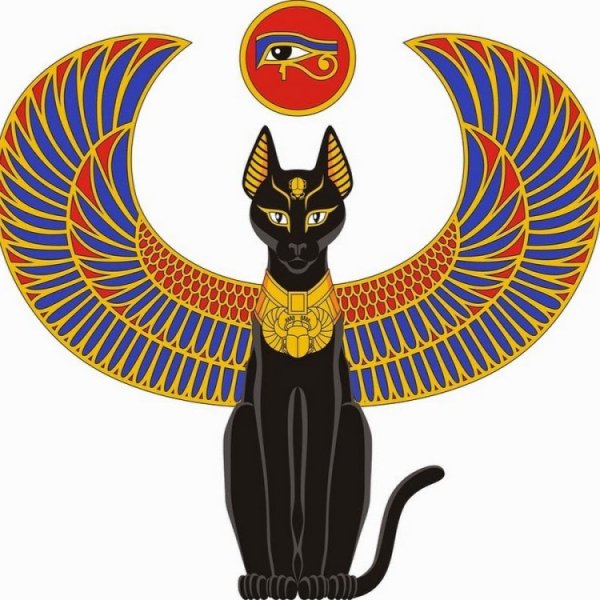 Ankha раскраска