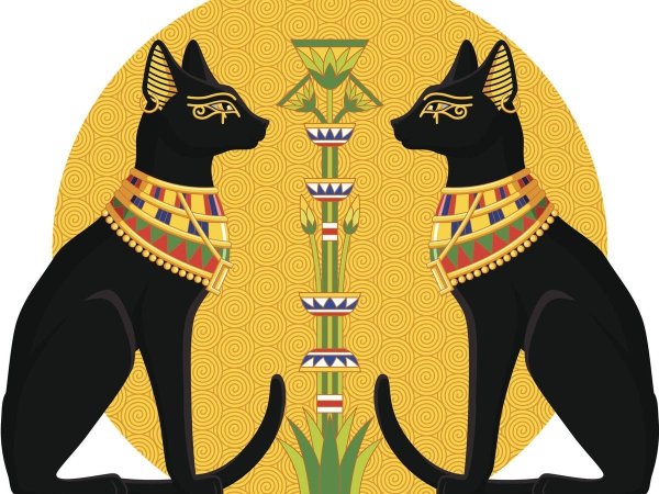 Ankha злая