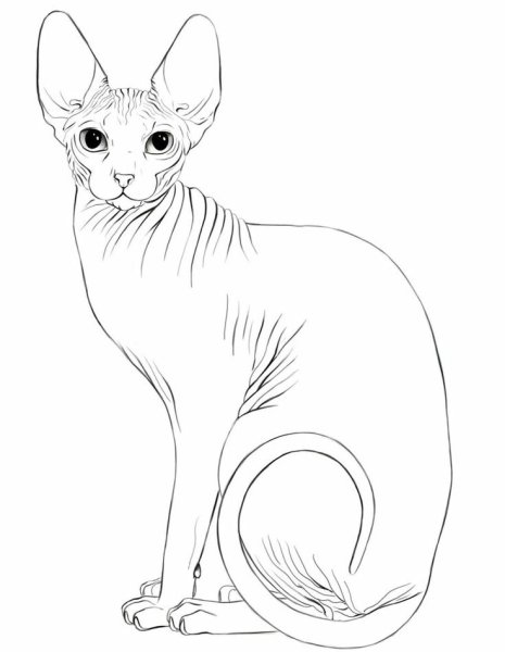 Bastet богиня Египта