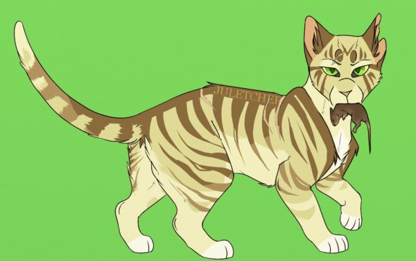 Коты Воители Долгохвост