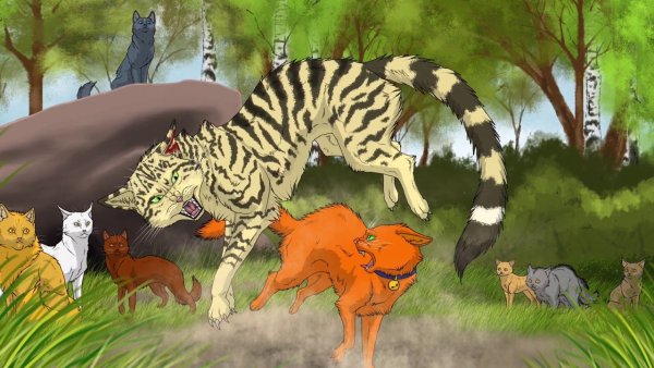 Коты Воители огонёк и Долгохвост