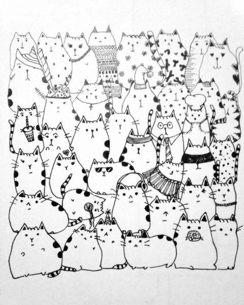 Дудл котики