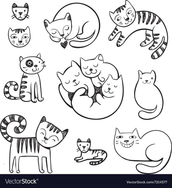 Кот дудл