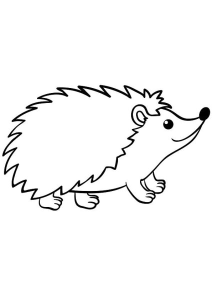 Еж раскраска