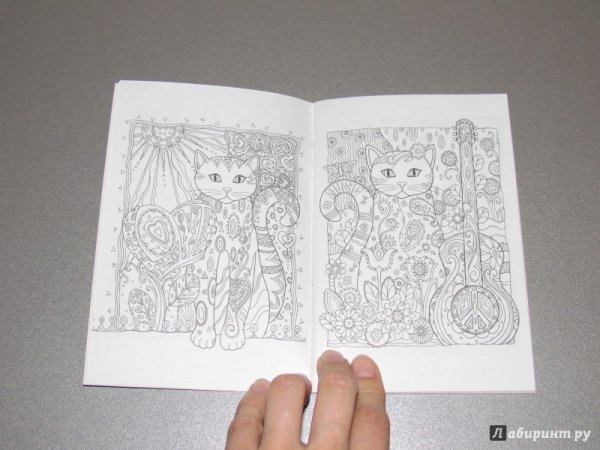 Котики блокнот-раскраска Сарнат
