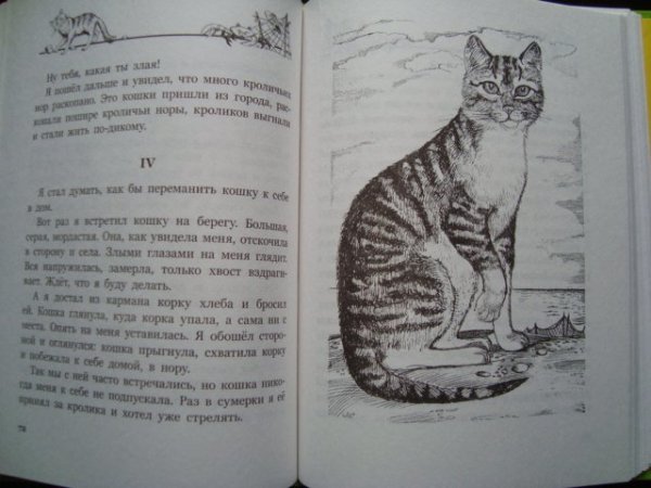 Житков, Борис Степанович. Беспризорная кошка