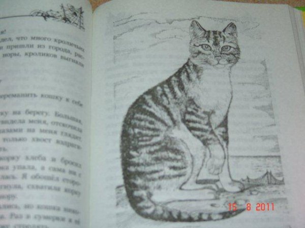 Житков Беспризорная кошка читательский дневник