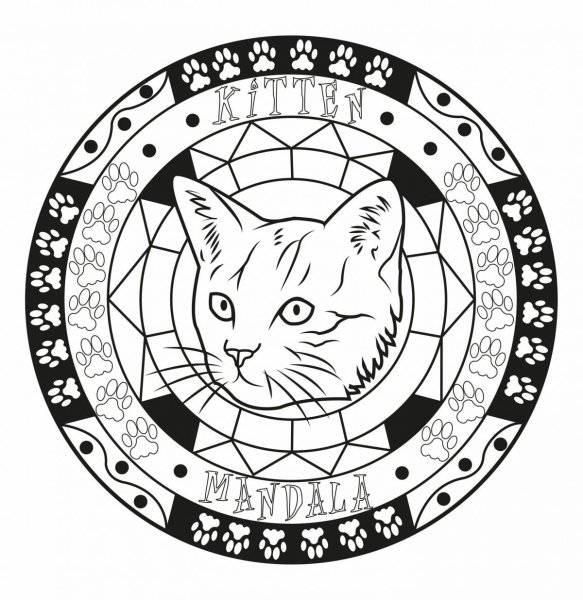 Раскраска антистресс котики