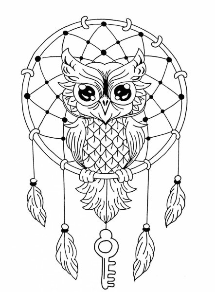 Кот Мейн кун