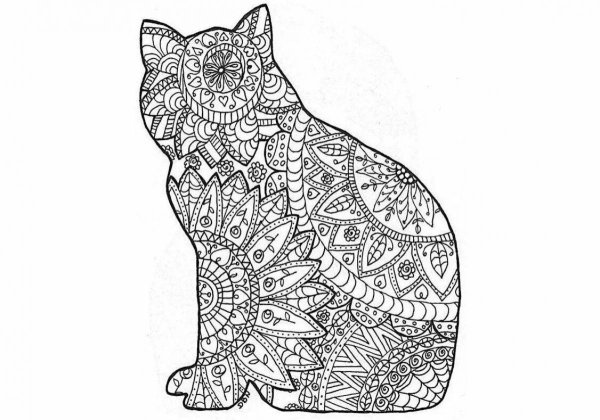 Раскраска Дикие кошки