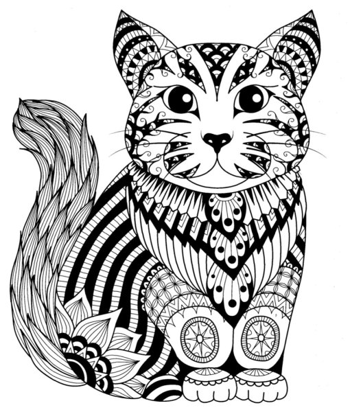 Зенарт кошка