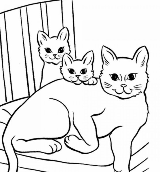 Раскраска. Котики