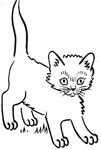 Кошка рисунок