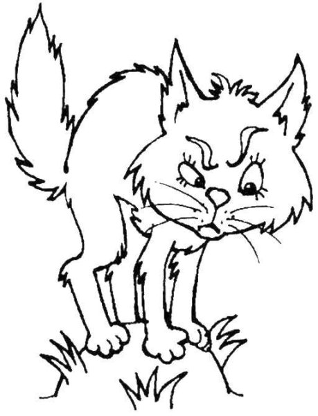 Кот ворюга раскраска