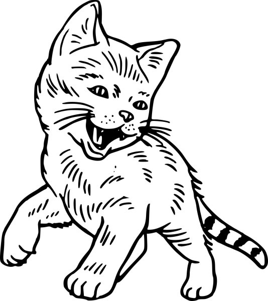 Раскраска испуганный котенок