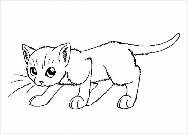 Кошки. Раскраска