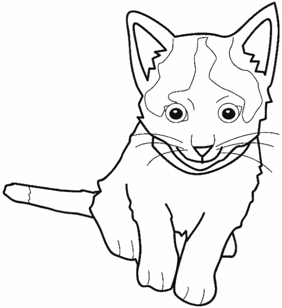 Раскраска испуганный котенок