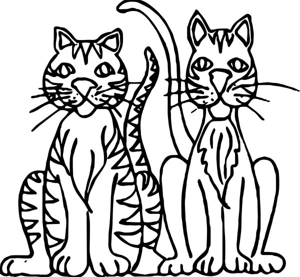 Раскраска кошка тойгер