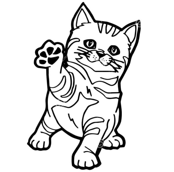 Британская кошка раскраска