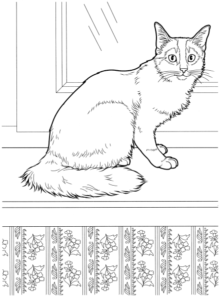 Раскраска кот