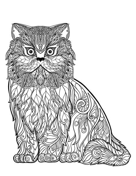 Кошка рисунок