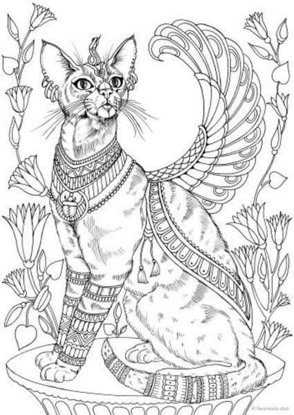 Рисунки котов для срисовки