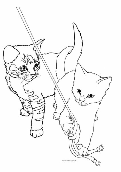 Электрическая кошка раскраска