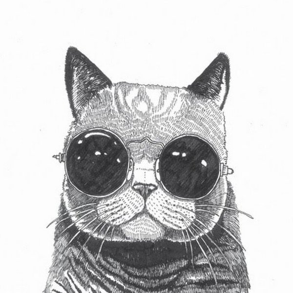 Кот в очках для срисовки