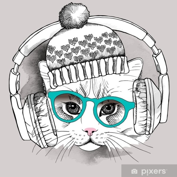 Милые котики в наушниках