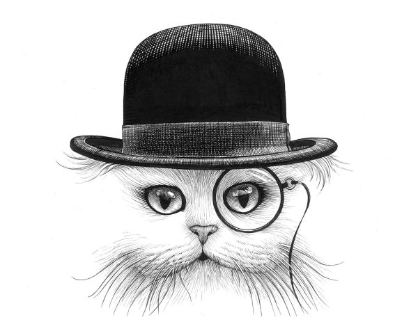 Коты в шляпах