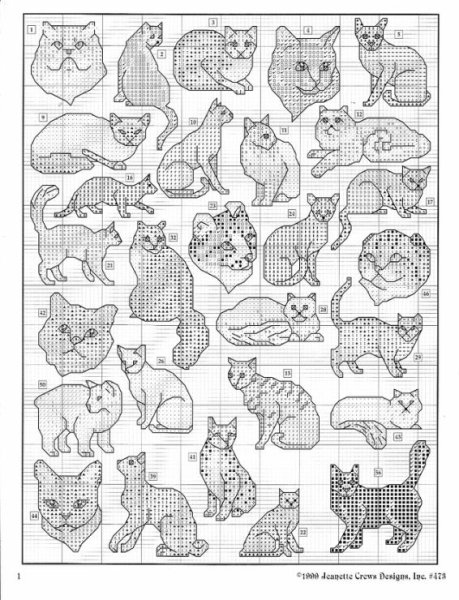 Раскраска британский кот