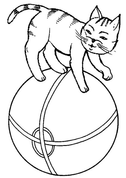 Раскраска кошка с мячиком