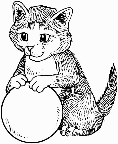 Котенок с клубком раскраска