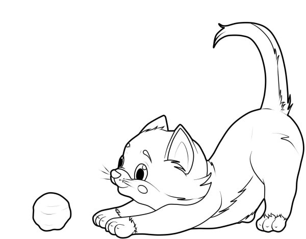 Котенок. Раскраска