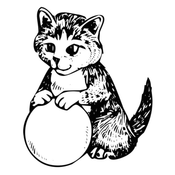 Раскраска котик с мячиком