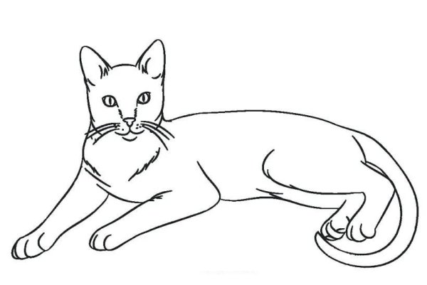 Кошка лежит раскраска