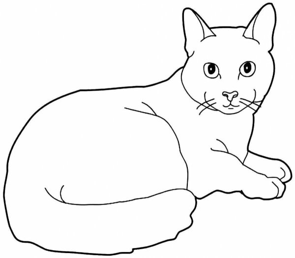 Кошка лежит раскраска