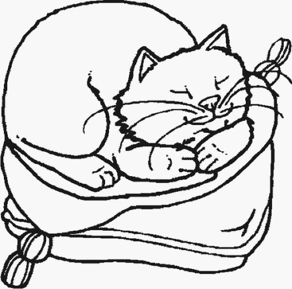 Раскраска спящий котенок