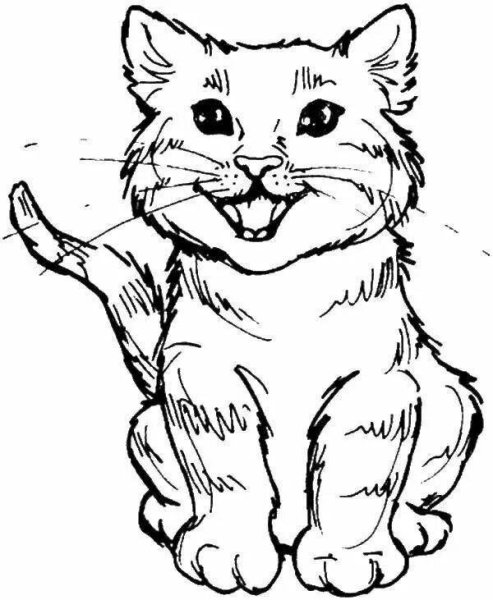 Раскраска кот