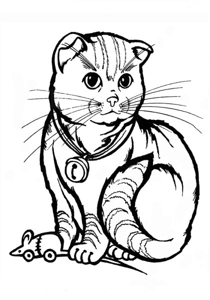 Раскраска кошечка