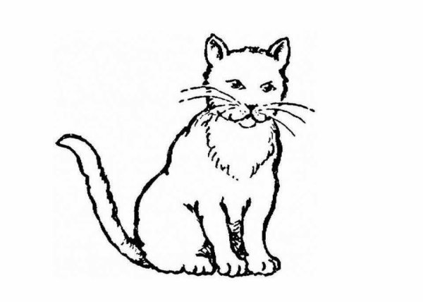 Кот ворюга раскраска