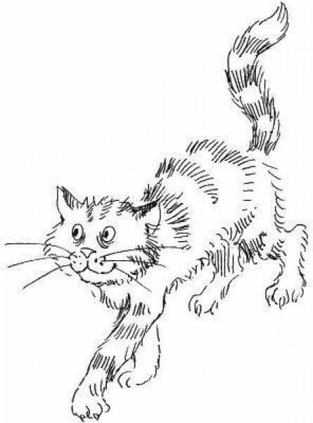 Кот-ворюга Паустовский раскраска